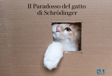 Il Paradosso del Gatto di Schrödinger. Una lezione di innovazione e decisione per le Aziende